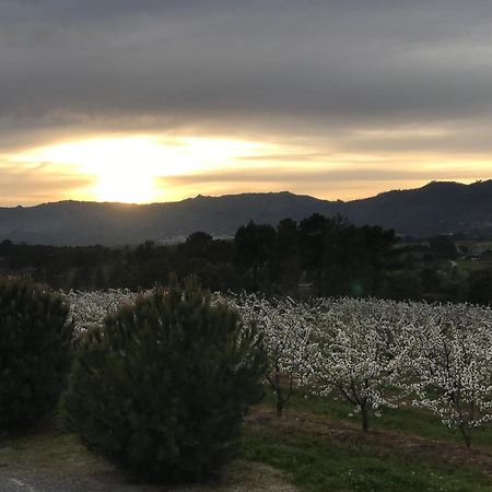 Вилла Quinta Da Porta - Solar De Vale De Prazeres Экстерьер фото