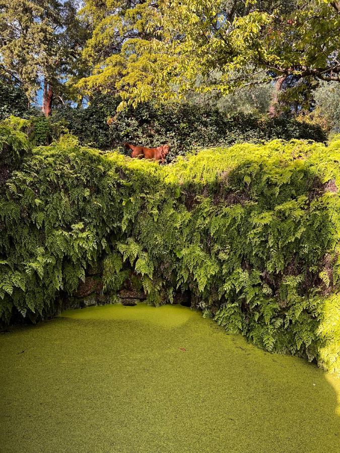 Вилла Quinta Da Porta - Solar De Vale De Prazeres Экстерьер фото