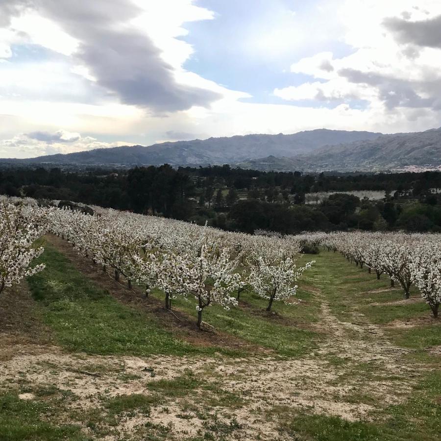 Вилла Quinta Da Porta - Solar De Vale De Prazeres Экстерьер фото