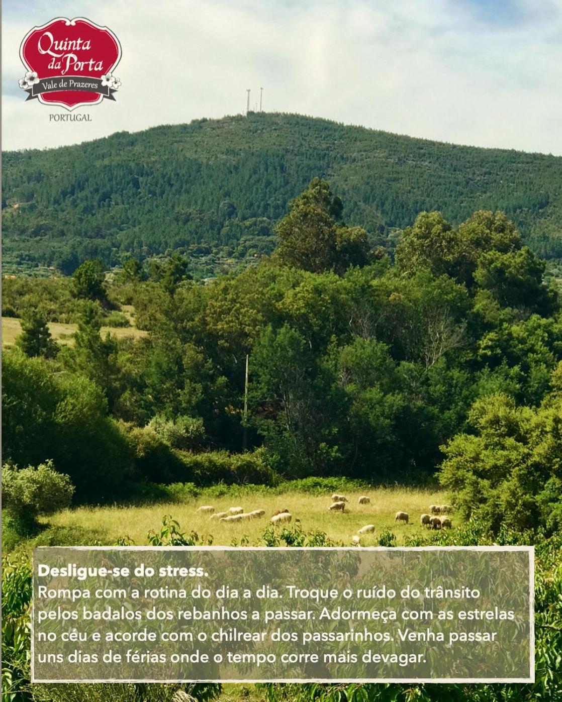 Вилла Quinta Da Porta - Solar De Vale De Prazeres Экстерьер фото